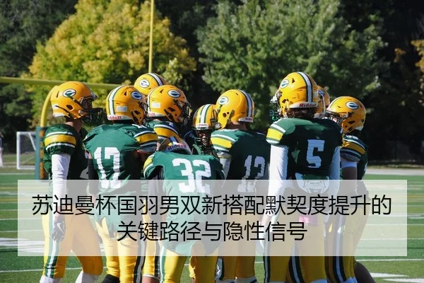 苏迪曼杯国羽男双新搭配默契度提升的关键路径与隐性信号